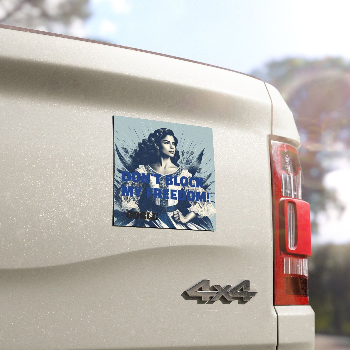 GOGLE CAR MAGNETS
