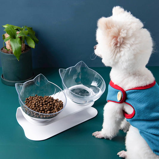 Transparent Single Pet Bowl